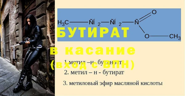 индика Зеленодольск