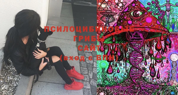 MDMA Алексеевка