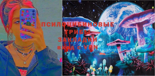 винт Алзамай