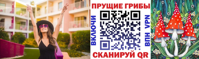 Галлюциногенные грибы Cubensis продажа наркотиков Махачкала