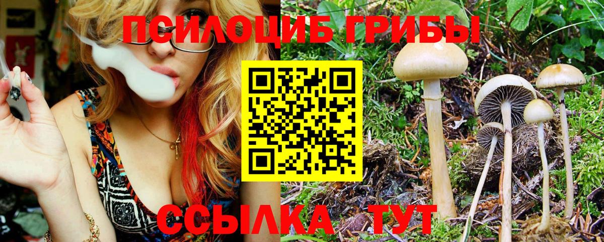 Псилоцибиновые грибы мухоморы Махачкала
