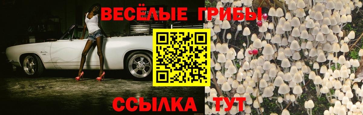 Псилоцибиновые грибы прущие грибы  Вход с VPN  закладки  Махачкала 